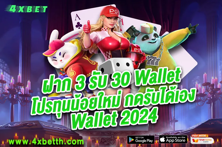 ฝาก 3 รับ 30 Wallet